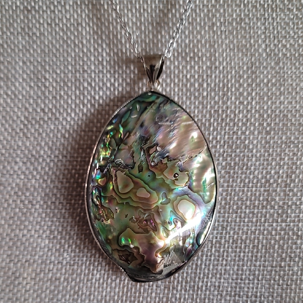 Abalone Shell Pendant Necklace NWT (#3 of 4)